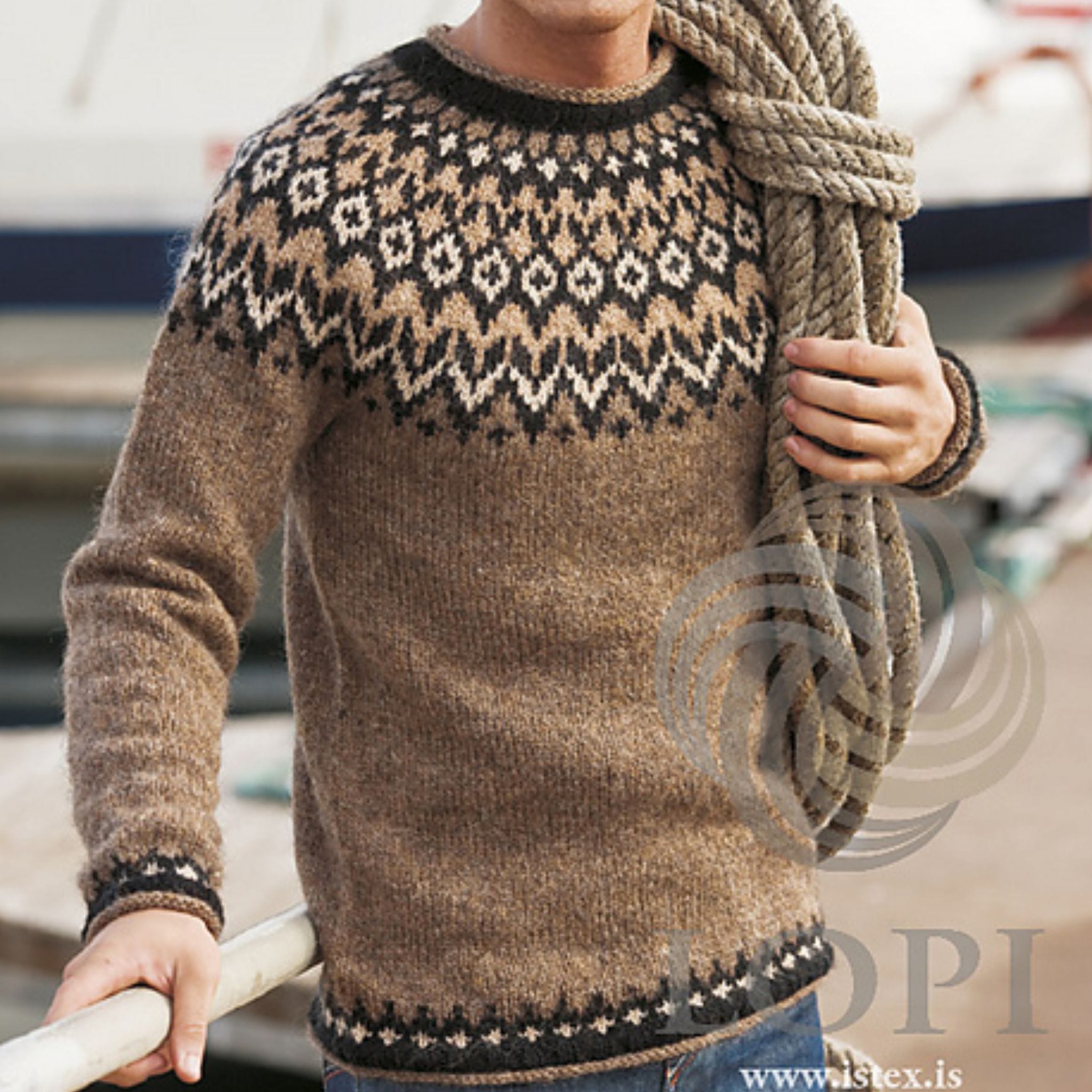 美品✨CIVIDINI バイカラー切替ウール ハイネックニット イタリア製 44 Riddari by Védís Jónsdóttir in Lettlopi – The Woolly Thistle