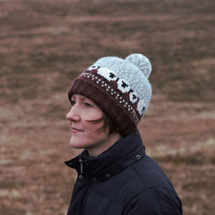 Baa-ble Hat Yarn Set in Shetland Aran by Donna Smith