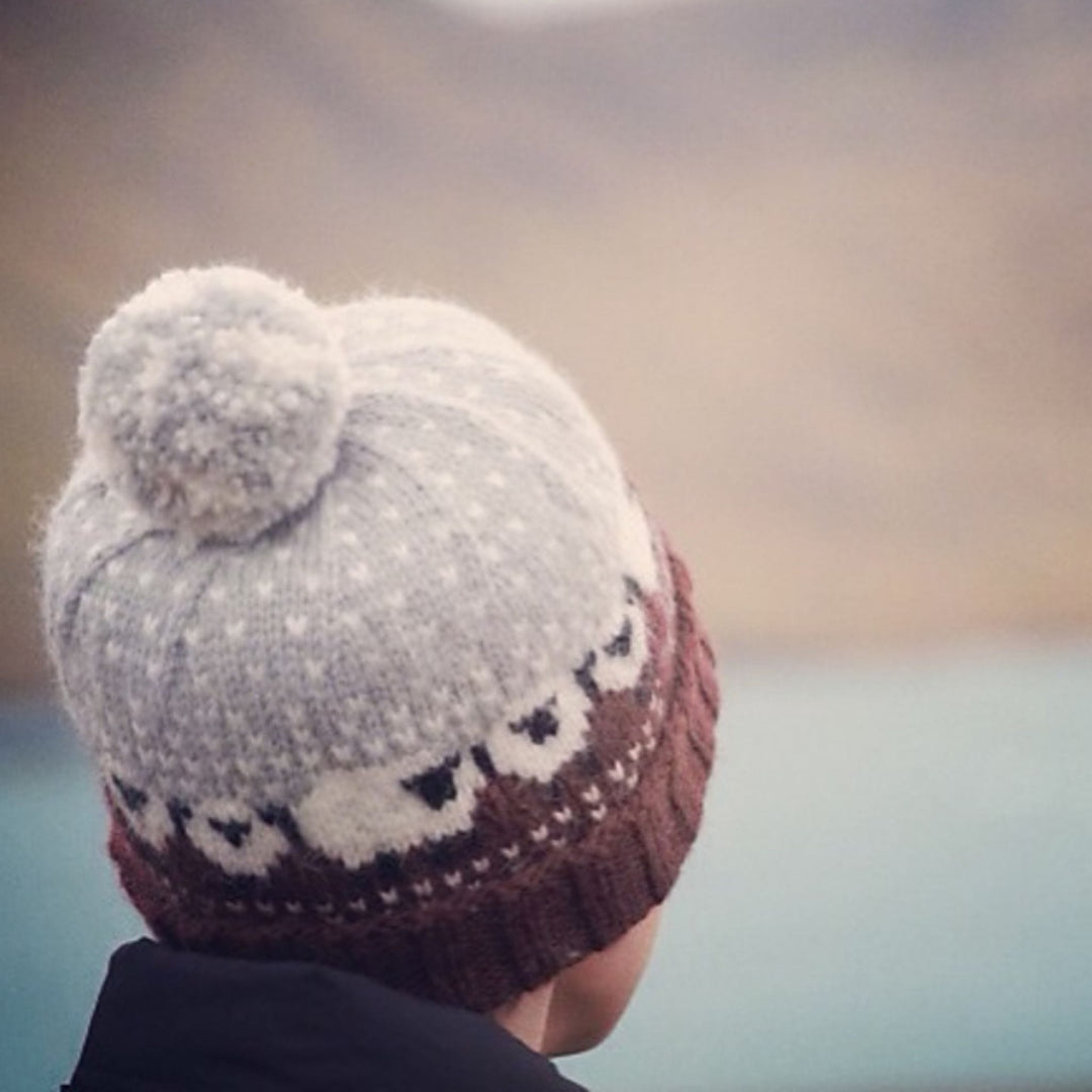 Baa-ble Hat Yarn Set in Shetland Aran by Donna Smith