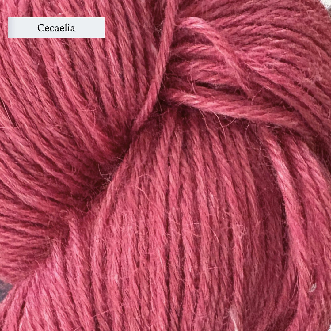 John Arbon Seafarer Sport