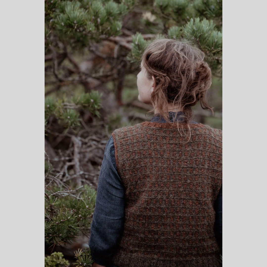 The Island and the Forest by Erika Åberg & Lotta H. Löthgren