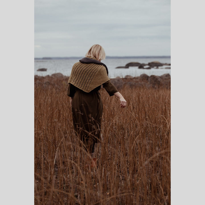 The Island and the Forest by Erika Åberg & Lotta H. Löthgren