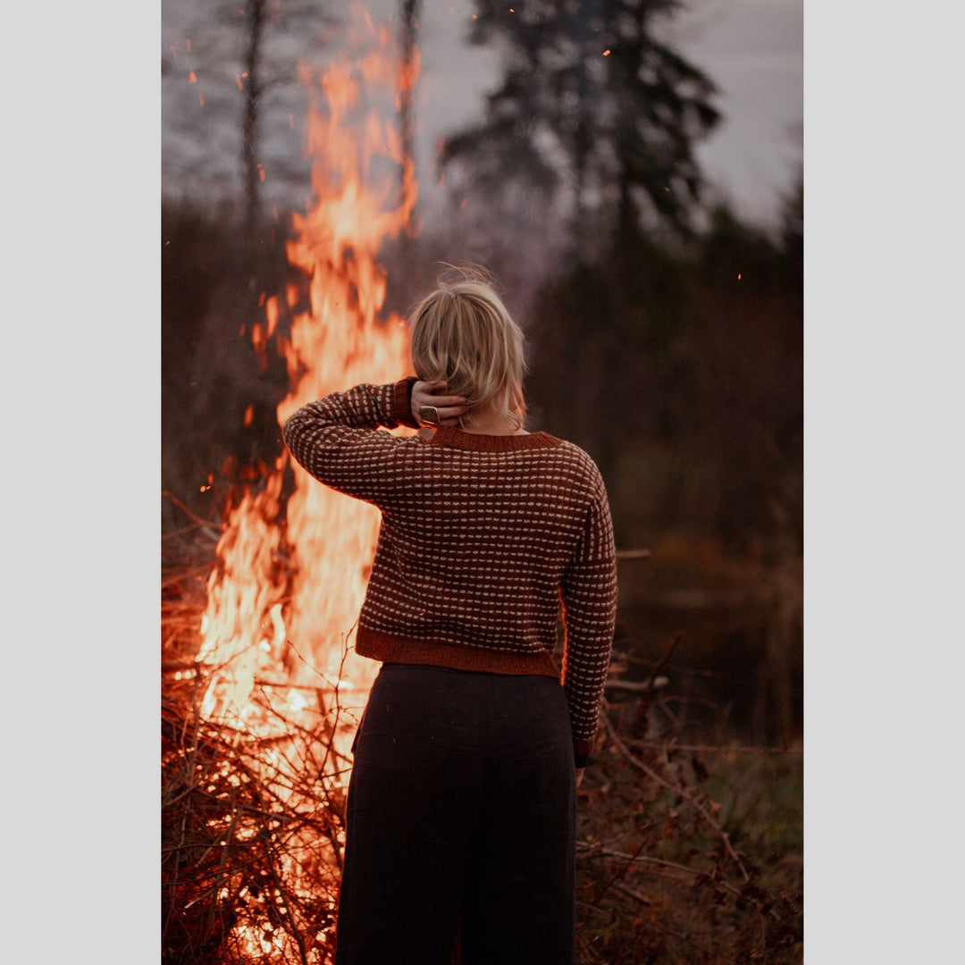 The Island and the Forest by Erika Åberg & Lotta H. Löthgren
