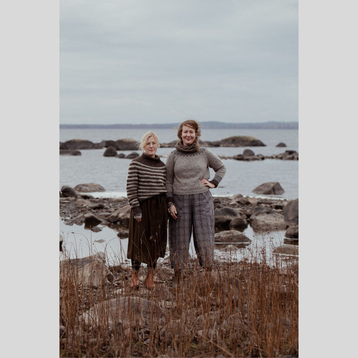 The Island and the Forest by Erika Åberg & Lotta H. Löthgren