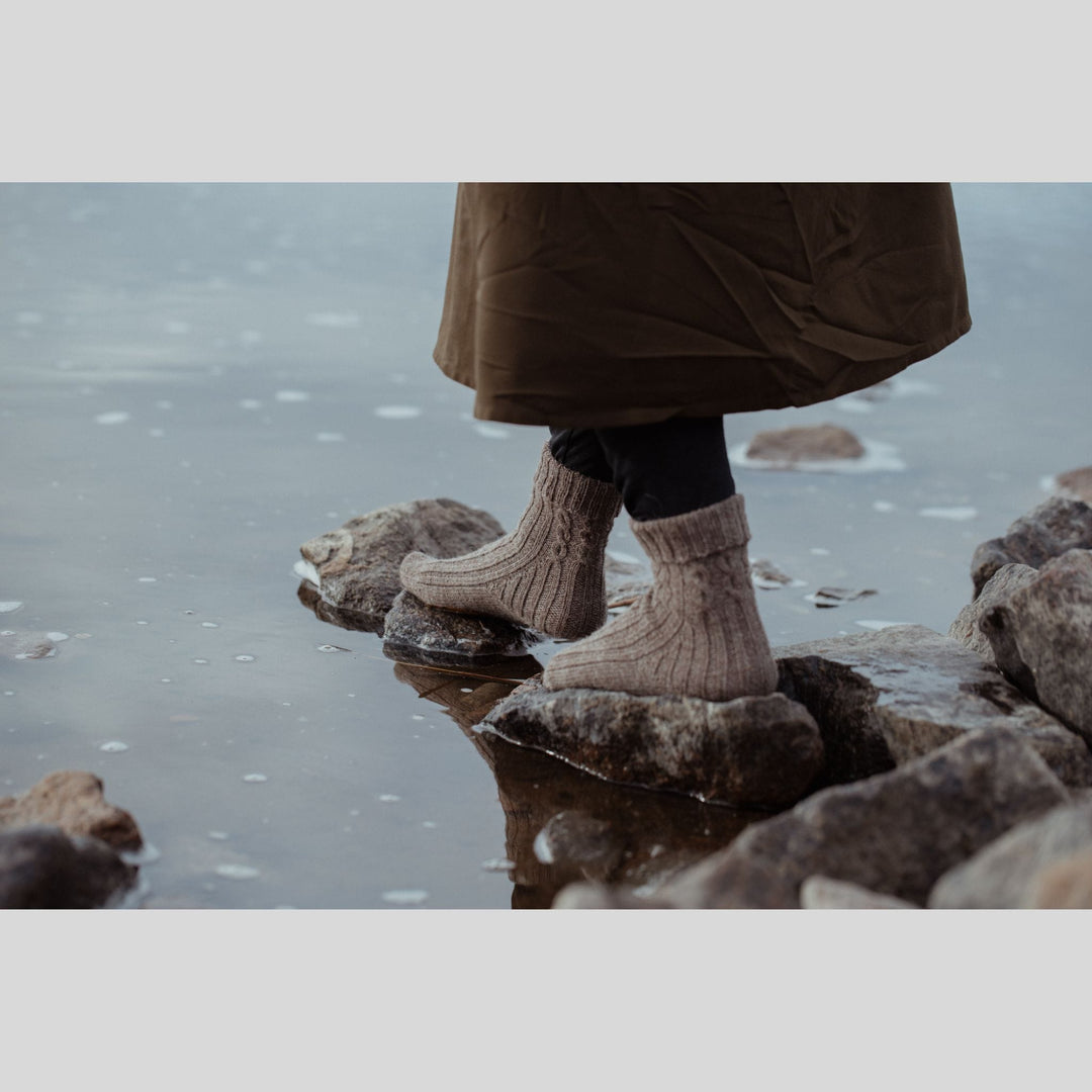 The Island and the Forest by Erika Åberg & Lotta H. Löthgren