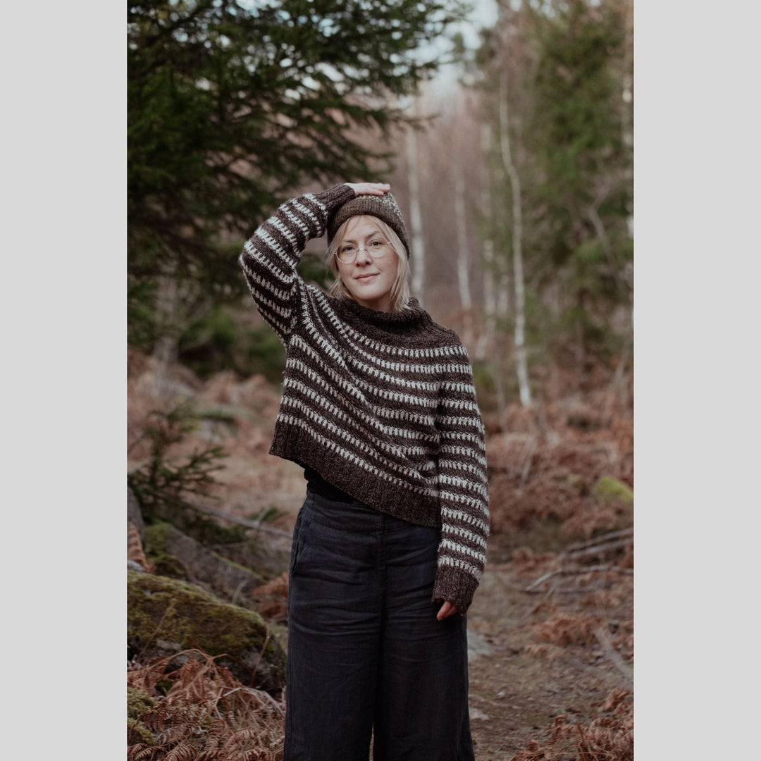 The Island and the Forest by Erika Åberg & Lotta H. Löthgren
