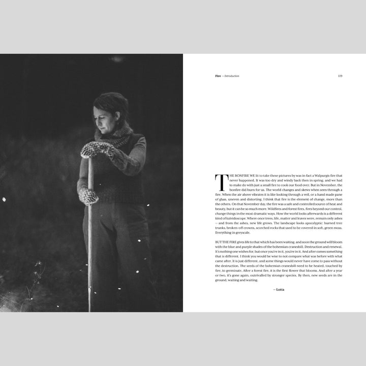 The Island and the Forest by Erika Åberg & Lotta H. Löthgren