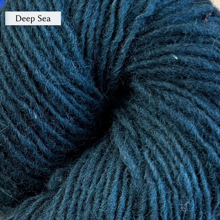 Close-up of Lichen & Lace Rustic Sport yarn in deep blue green color labeled 'Deep Sea'