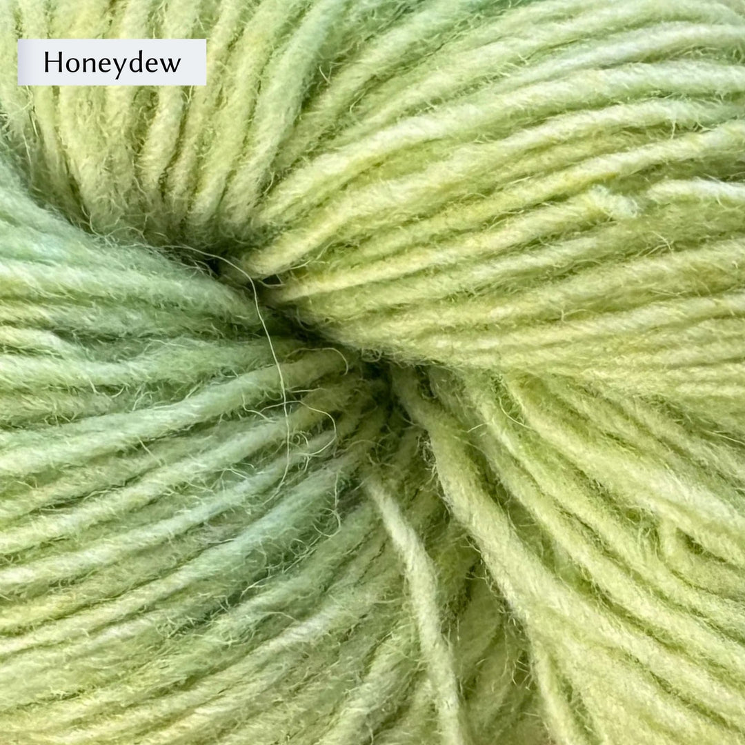 Close-up of Lichen & Lace Rustic Sport yarn in pastel green color labeled 'Honeydew'