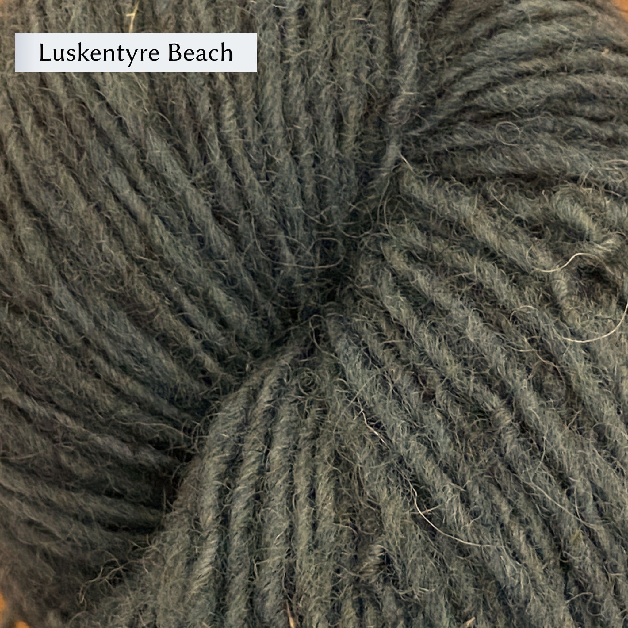 Lupine by the Loch Vest by Carolyn Holbrook in Lichen & Lace Rustic Heather Sport