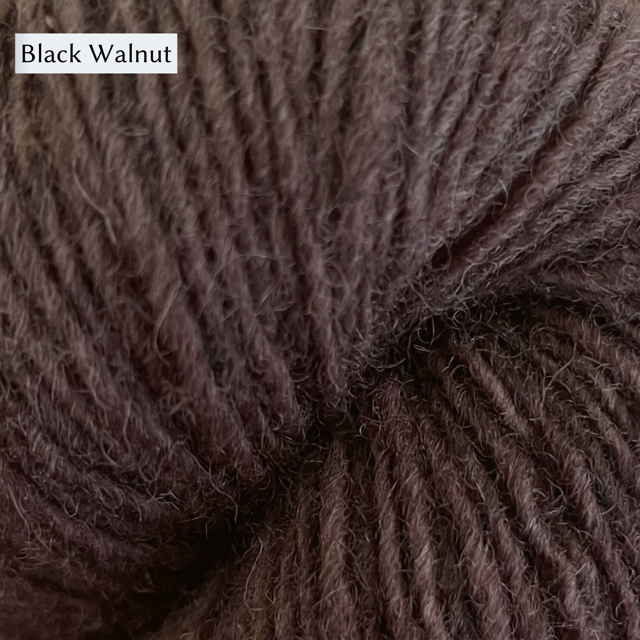 Lichen & Lace Rustic Heather Sport, a sport weight single-ply yarn, in Black Walnut, a deep cool brown