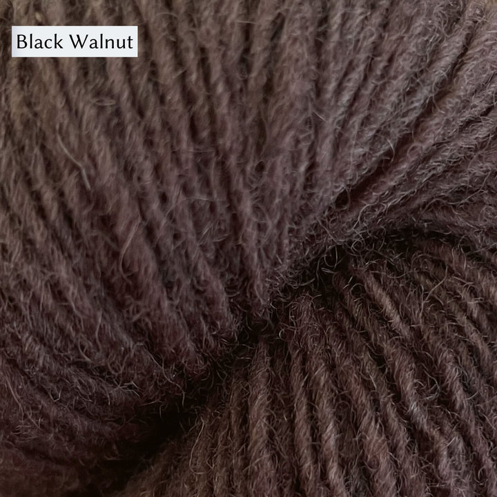 Lichen & Lace Rustic Heather Sport, a sport weight single-ply yarn, in Black Walnut, a deep cool brown