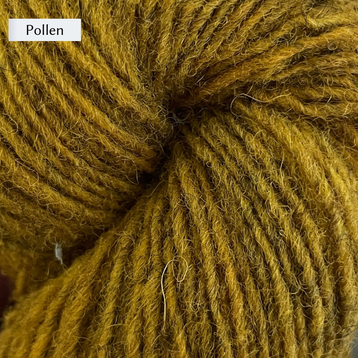 Lichen & Lace Rustic Heather Sport, a sport weight single-ply yarn, in color Pollen, a rich gold