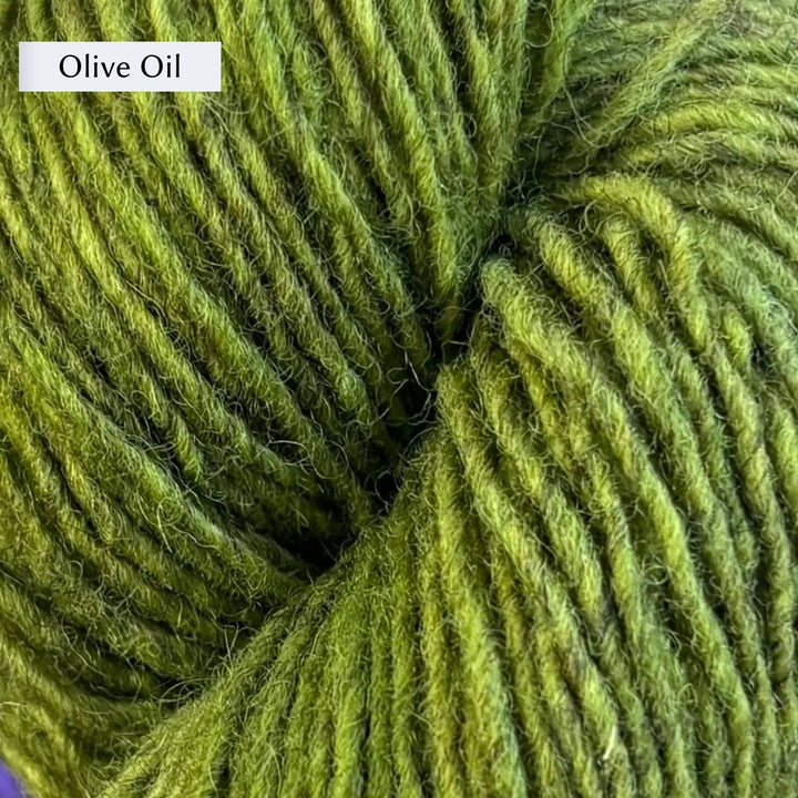 Close-up of Lichen & Lace Rustic Sport yarn in green color labeled 'Olive Oil'