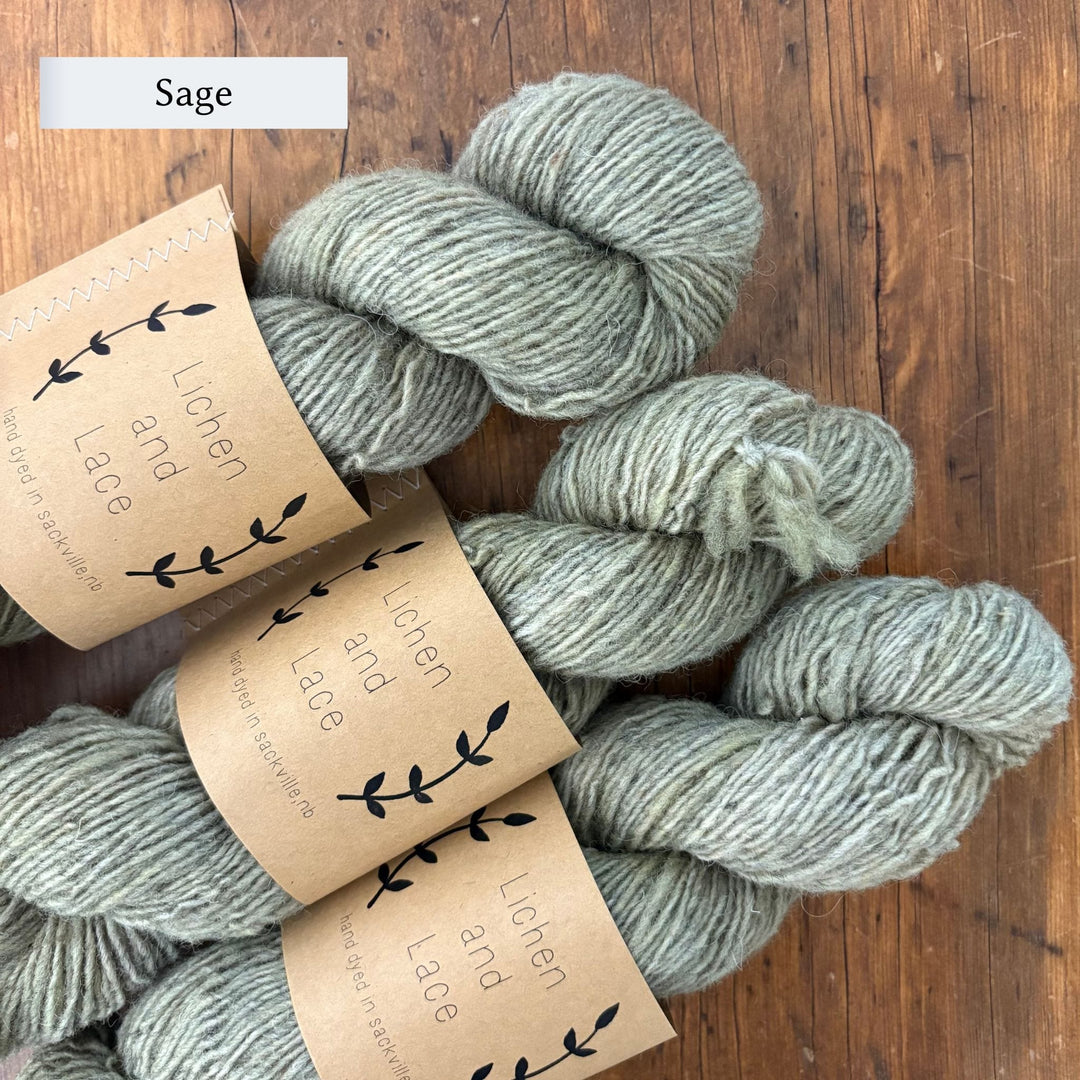 Thistle on the Moor Vest by Carolyn Holbrook Lichen & Lace Rustic Heather Sport