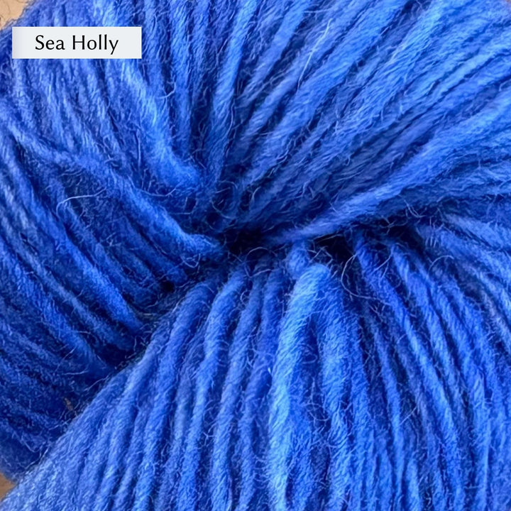 Close-up of Lichen & Lace Rustic Sport yarn in vibrant blue color labeled 'Sea Holly'