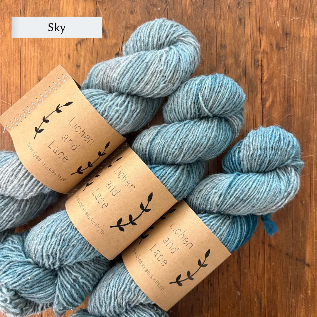 Thistle on the Moor Vest by Carolyn Holbrook Lichen & Lace Rustic Heather Sport