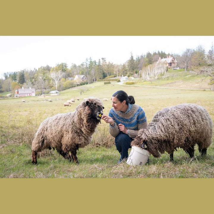 Farm & Fiber Knits: Fall 2026