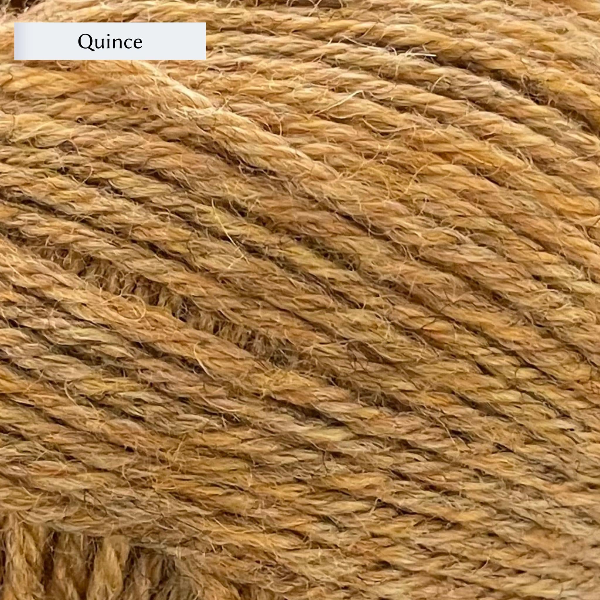 Marie Wallin's British Breeds ARAN – The Woolly Thistle