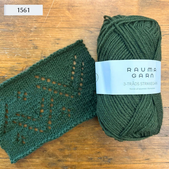 Beauly Sweater by Corinne Tomlinson in Rauma Strikkegarn