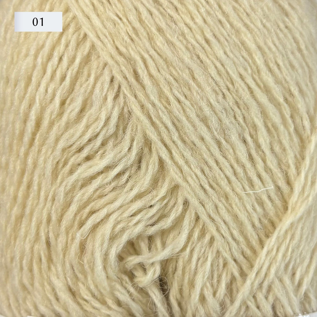 Retrosaria Pegulhal Fingering Weight Yarn