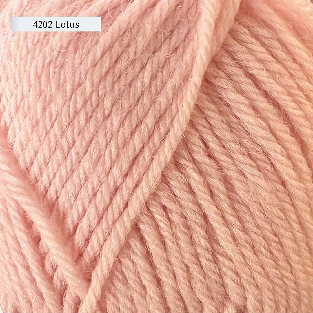 Close-up of pink yarn with '4202 Lotus' label