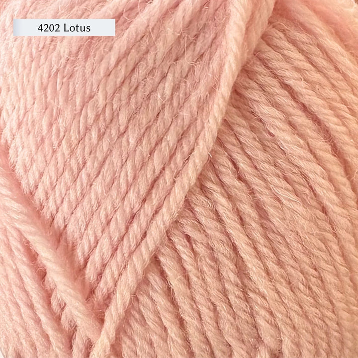Close-up of pink yarn with '4202 Lotus' label