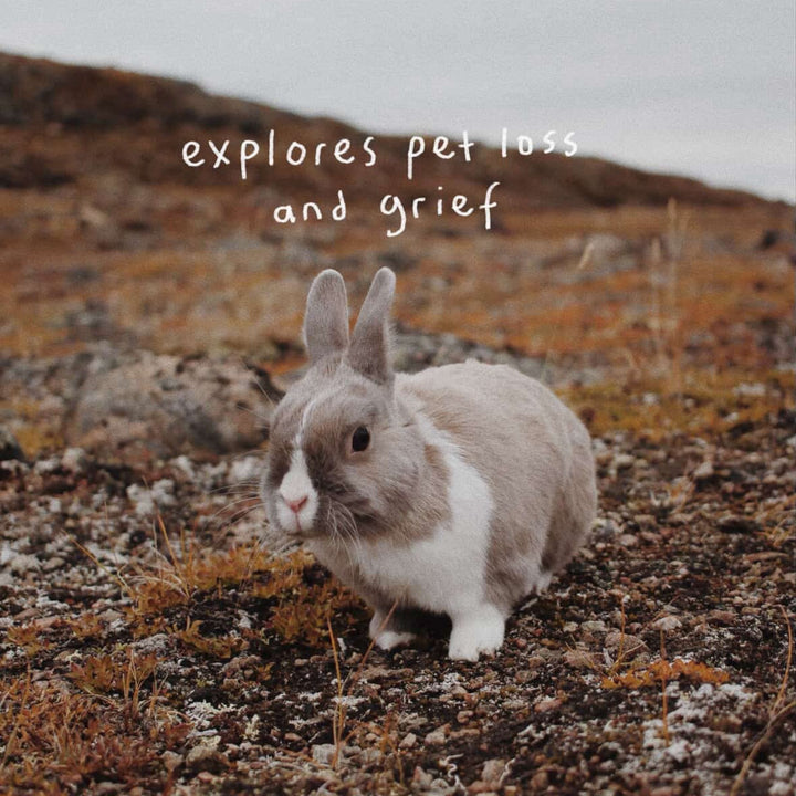 Saskie Knits by Saskie & Co