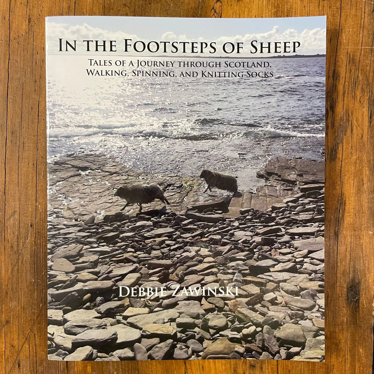 In The Footsteps of Sheep – The Woolly Thistle