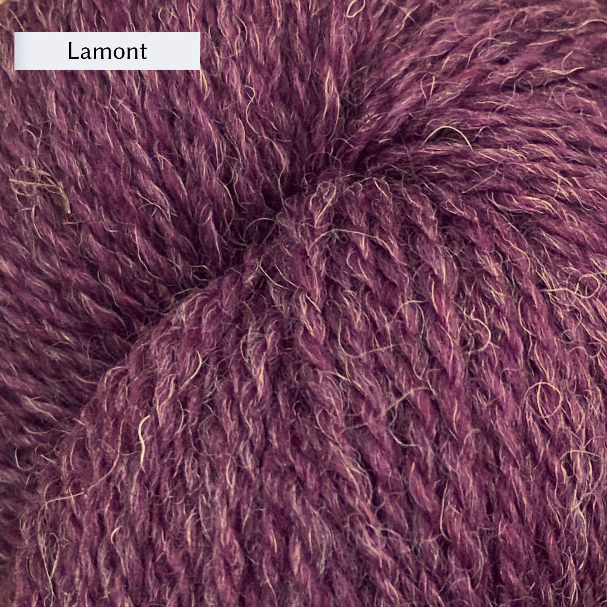 The Scottish Wool Company 4ply
