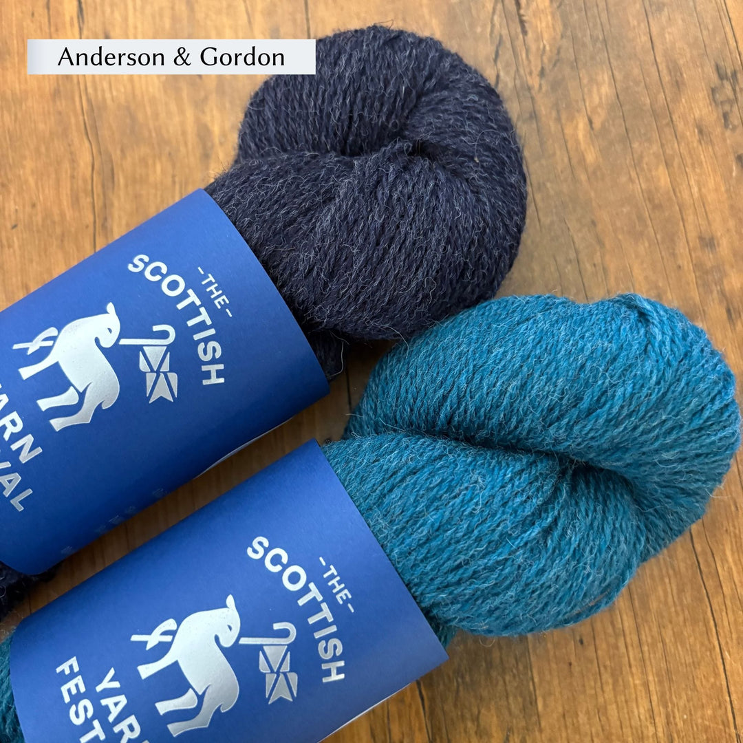 Beginner Brioche Slouch Hat by Lavanya Patricella in The Scottish Yarn Festival DK