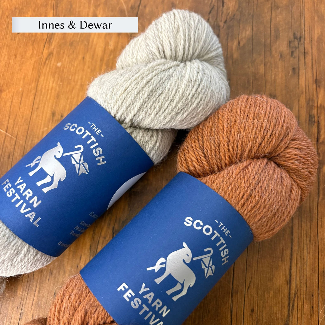 Beginner Brioche Slouch Hat by Lavanya Patricella in The Scottish Yarn Festival DK