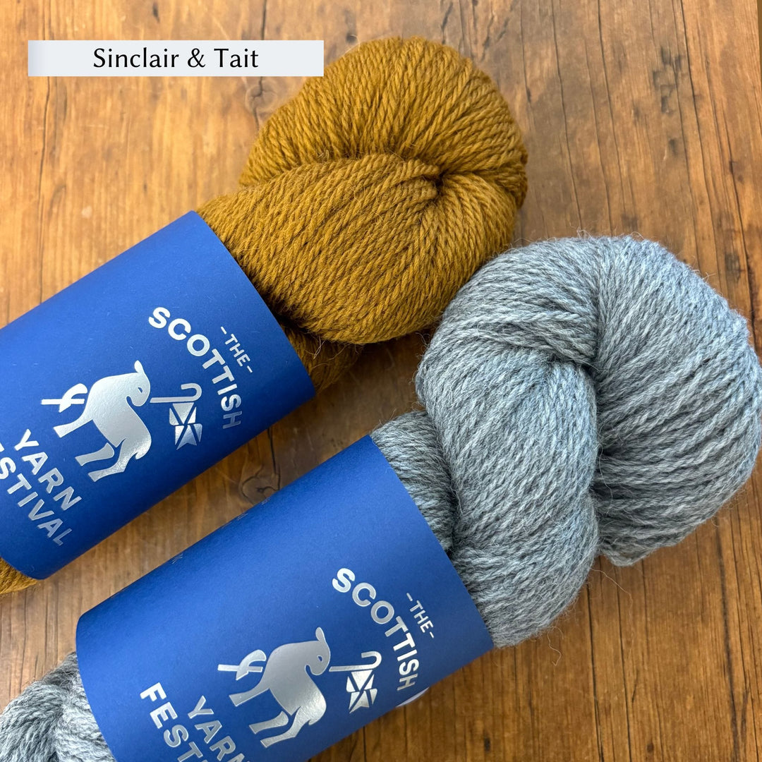 Beginner Brioche Slouch Hat by Lavanya Patricella in The Scottish Yarn Festival DK