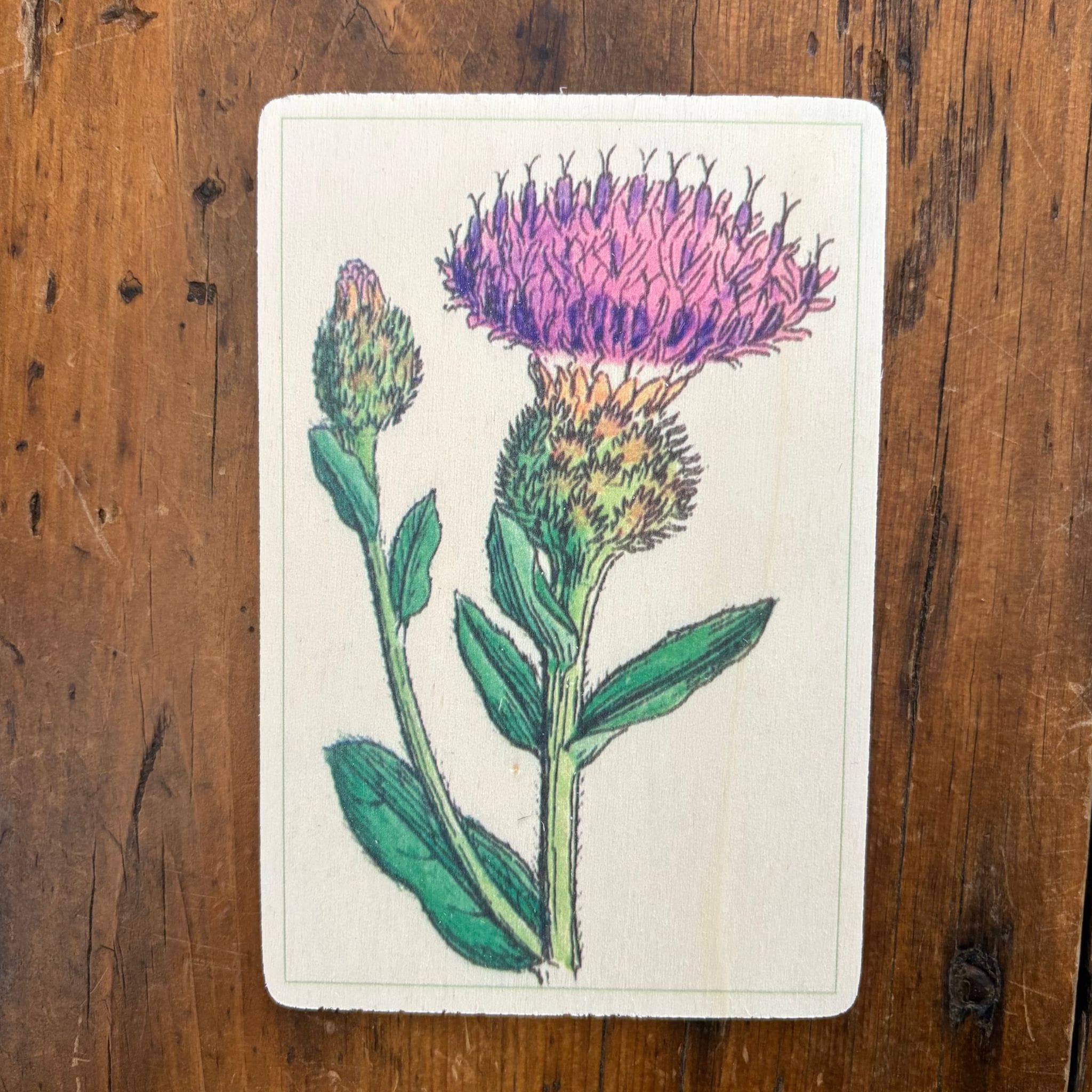 Wooden Postcard – The Woolly Thistle
