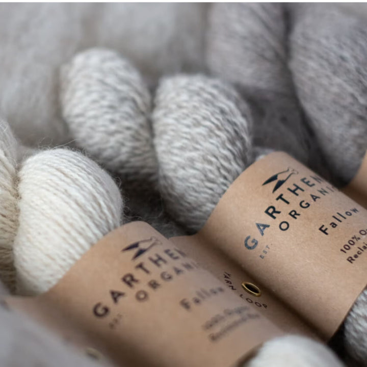 12 Days of Cheer Box