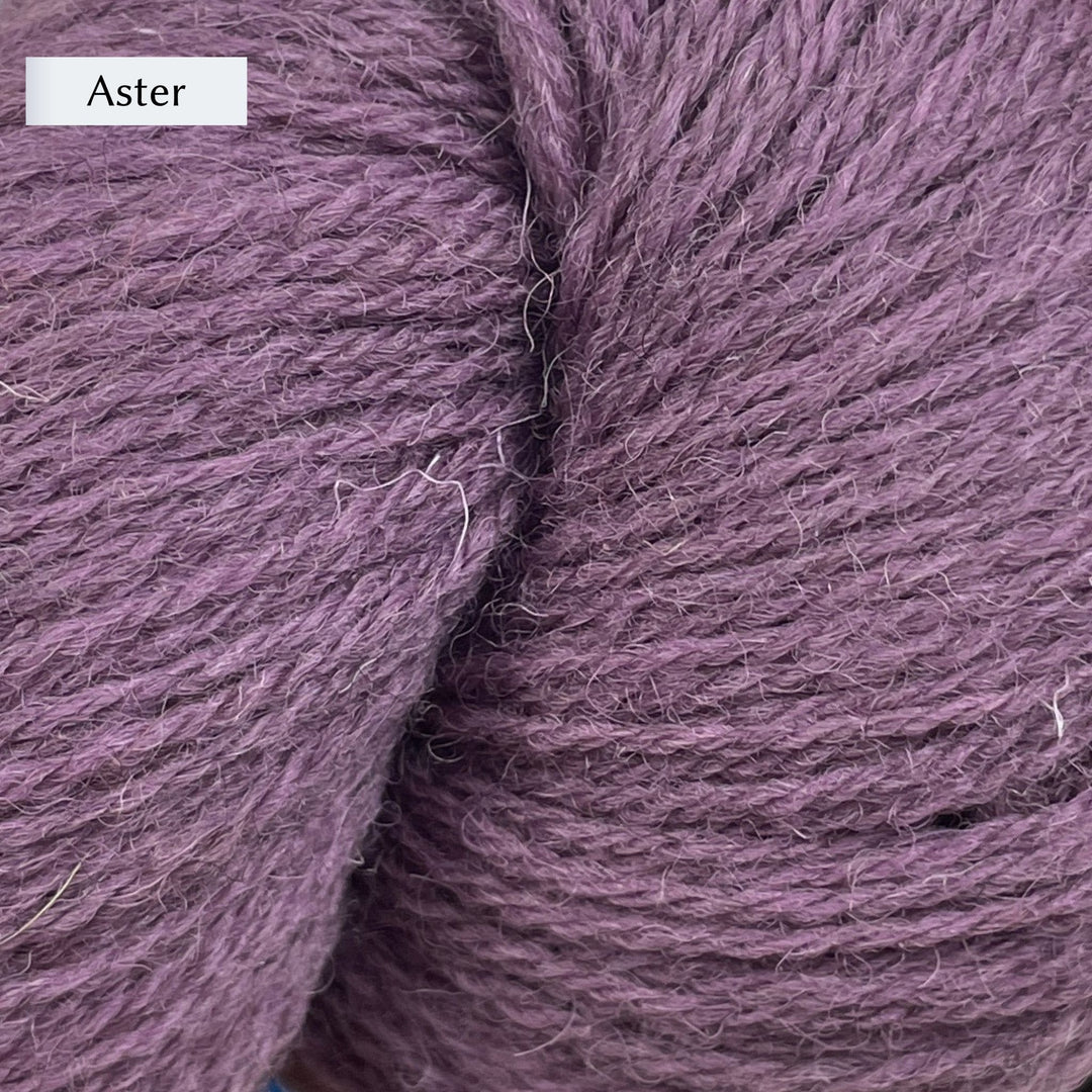 Halligarth by Gudrun Johnston in Rambler