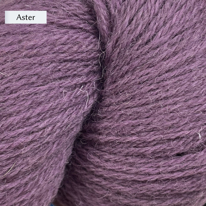 Halligarth by Gudrun Johnston in Rambler