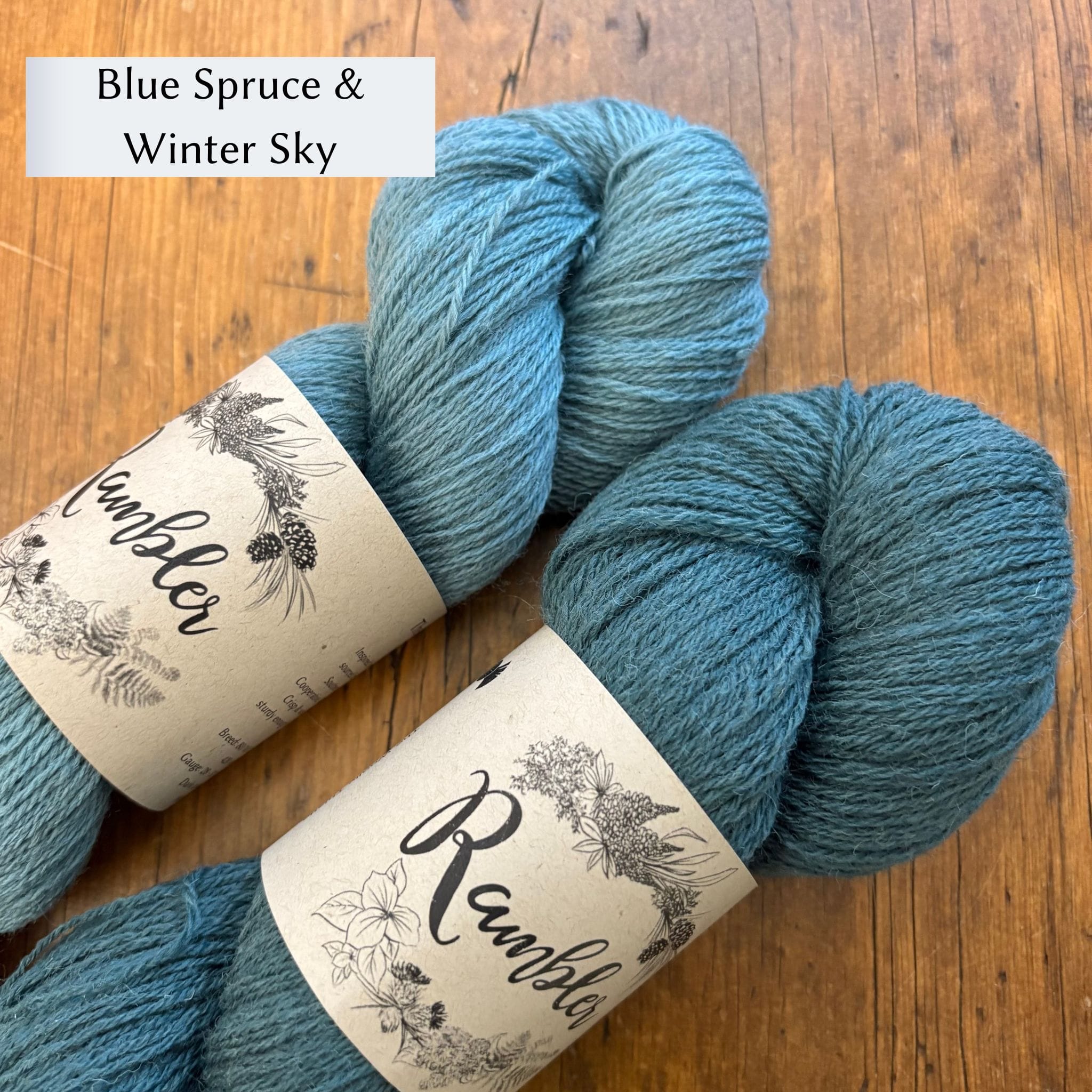 Burnside Socks Kit by Corinne Tomlinson in Rambler