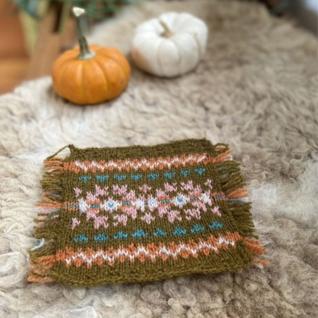 Class: Fair Isle Taster with Gudrun Johnston