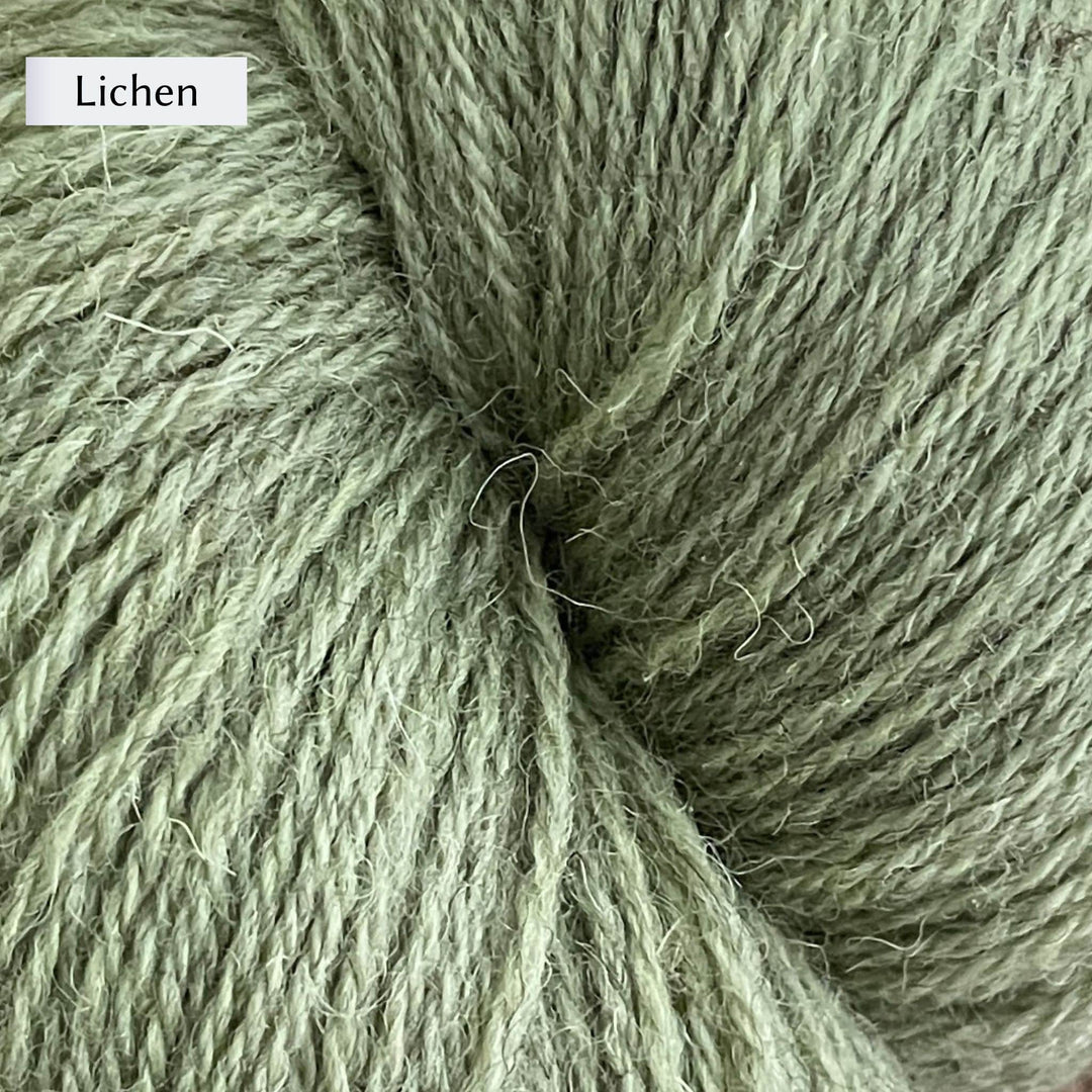 Halligarth by Gudrun Johnston in Rambler