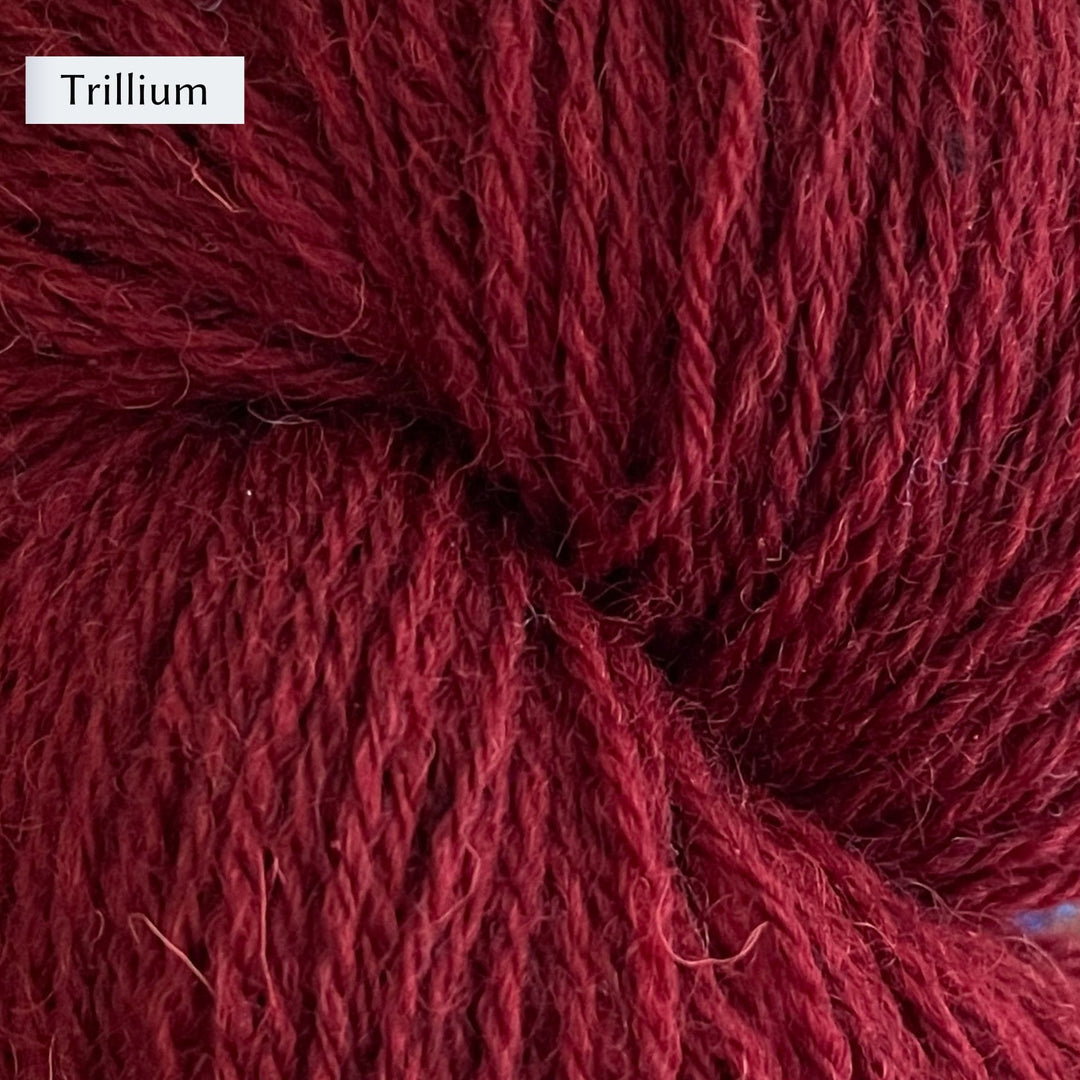 Halligarth by Gudrun Johnston in Rambler