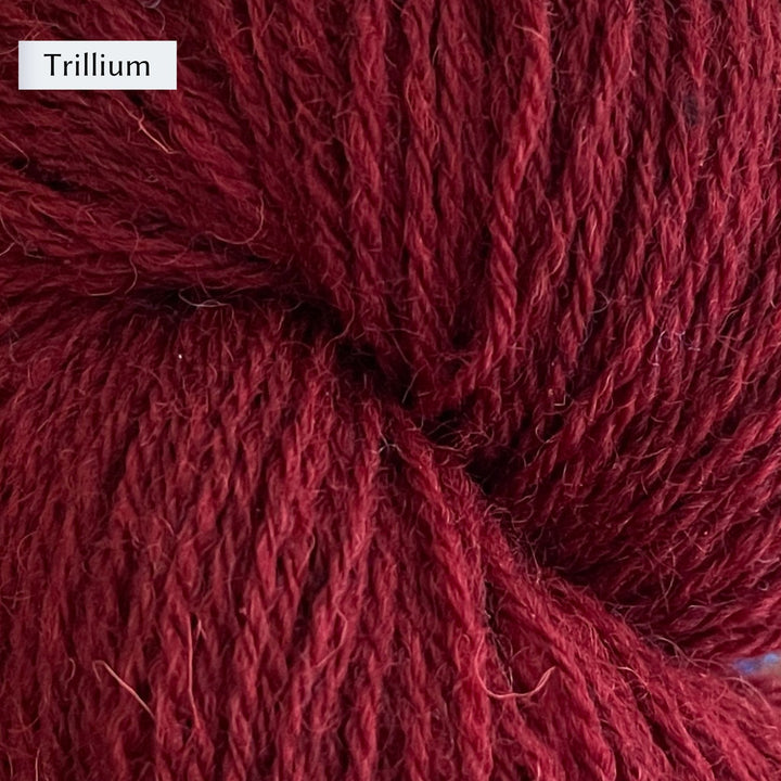 Halligarth by Gudrun Johnston in Rambler