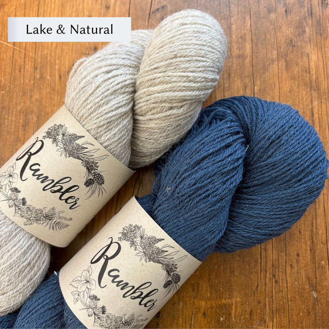 Burnside Socks Kit by Corinne Tomlinson in Rambler