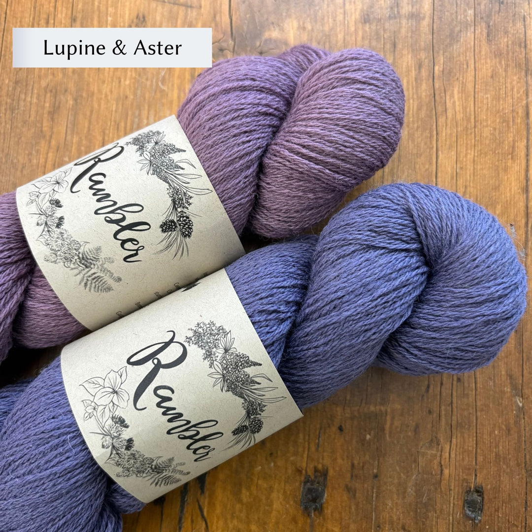 Burnside Socks Kit by Corinne Tomlinson in Rambler