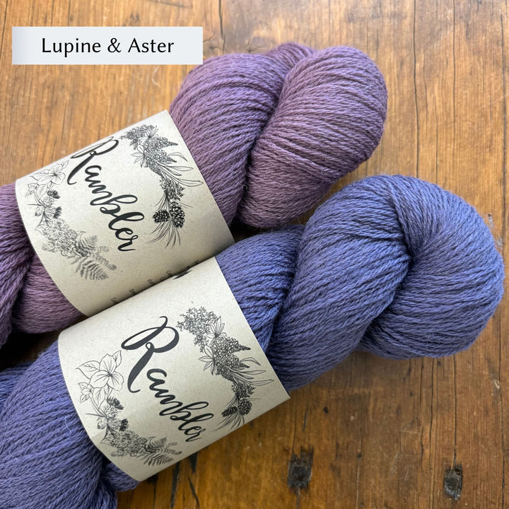 Burnside Socks Kit by Corinne Tomlinson in Rambler