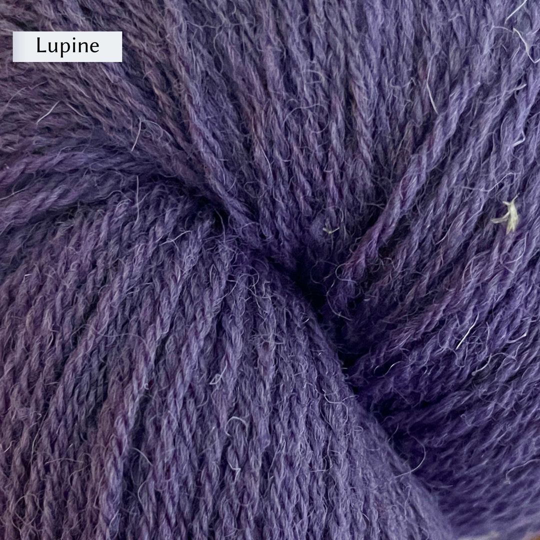 Halligarth by Gudrun Johnston in Rambler