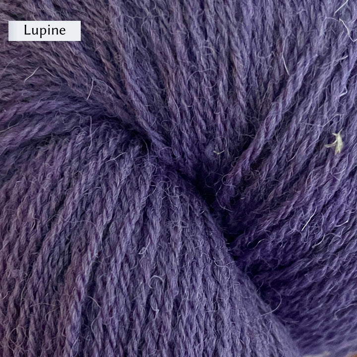 Halligarth by Gudrun Johnston in Rambler