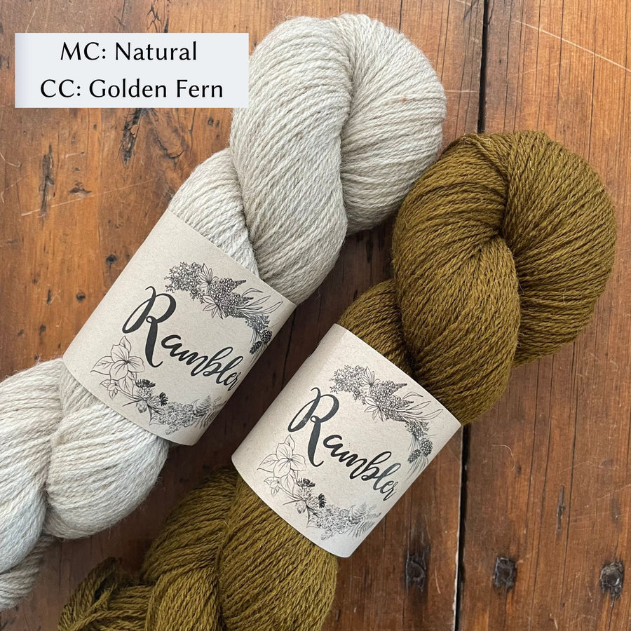 Forest Path Socks by Jessica McDonald in Rambler – The Woolly Thistle