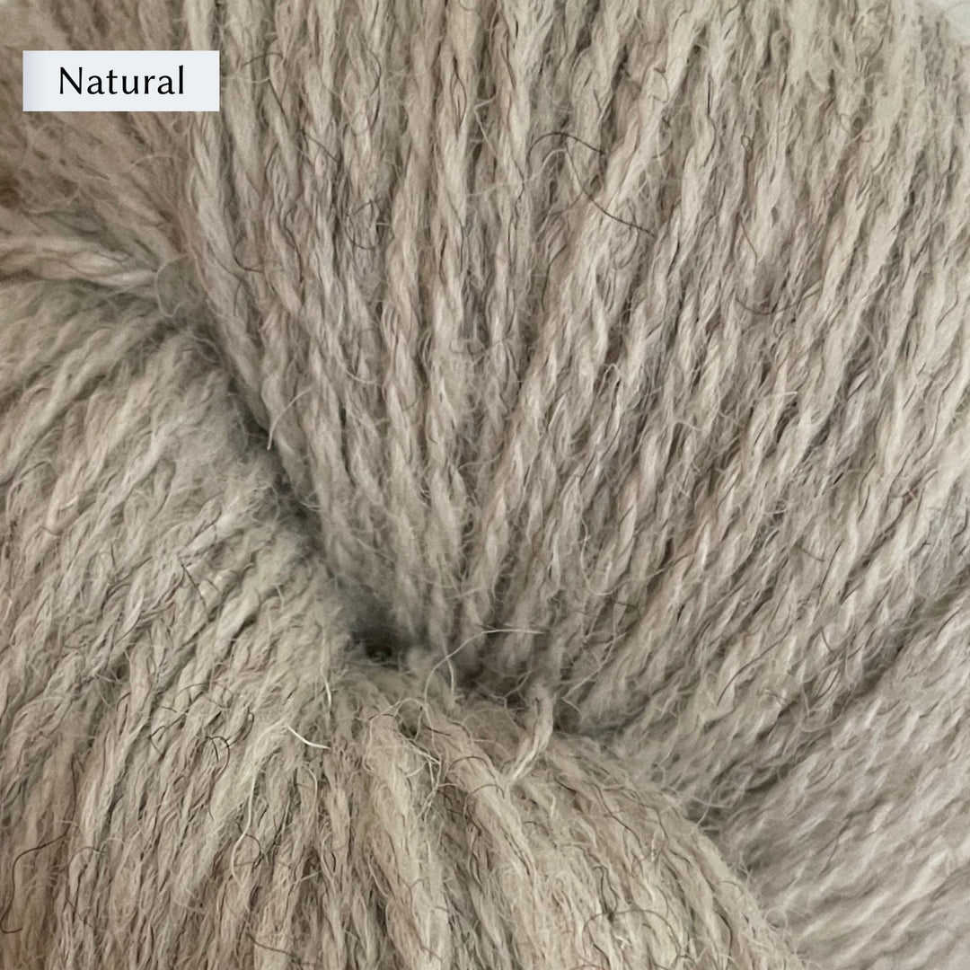 Halligarth by Gudrun Johnston in Rambler