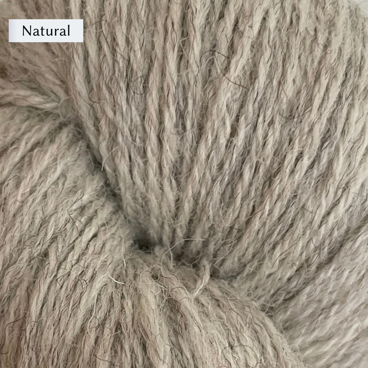 Halligarth by Gudrun Johnston in Rambler